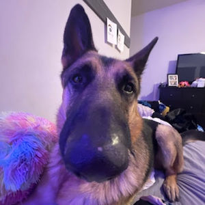 Meet your Posher, Hailey